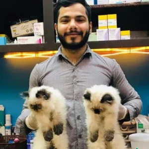 Dr Ameer Hamza Vision Pet Clinic Johar Town Lahore