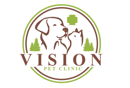 Vision Pet Clinic 